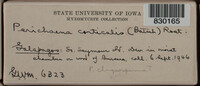 Image Associated With the Occurrence